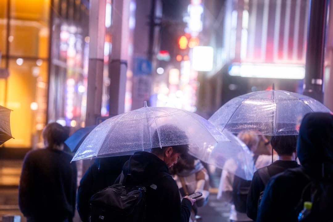 漂泊泡泡建立万元质量监督基金,发动公益项目助困童救漂泊动物