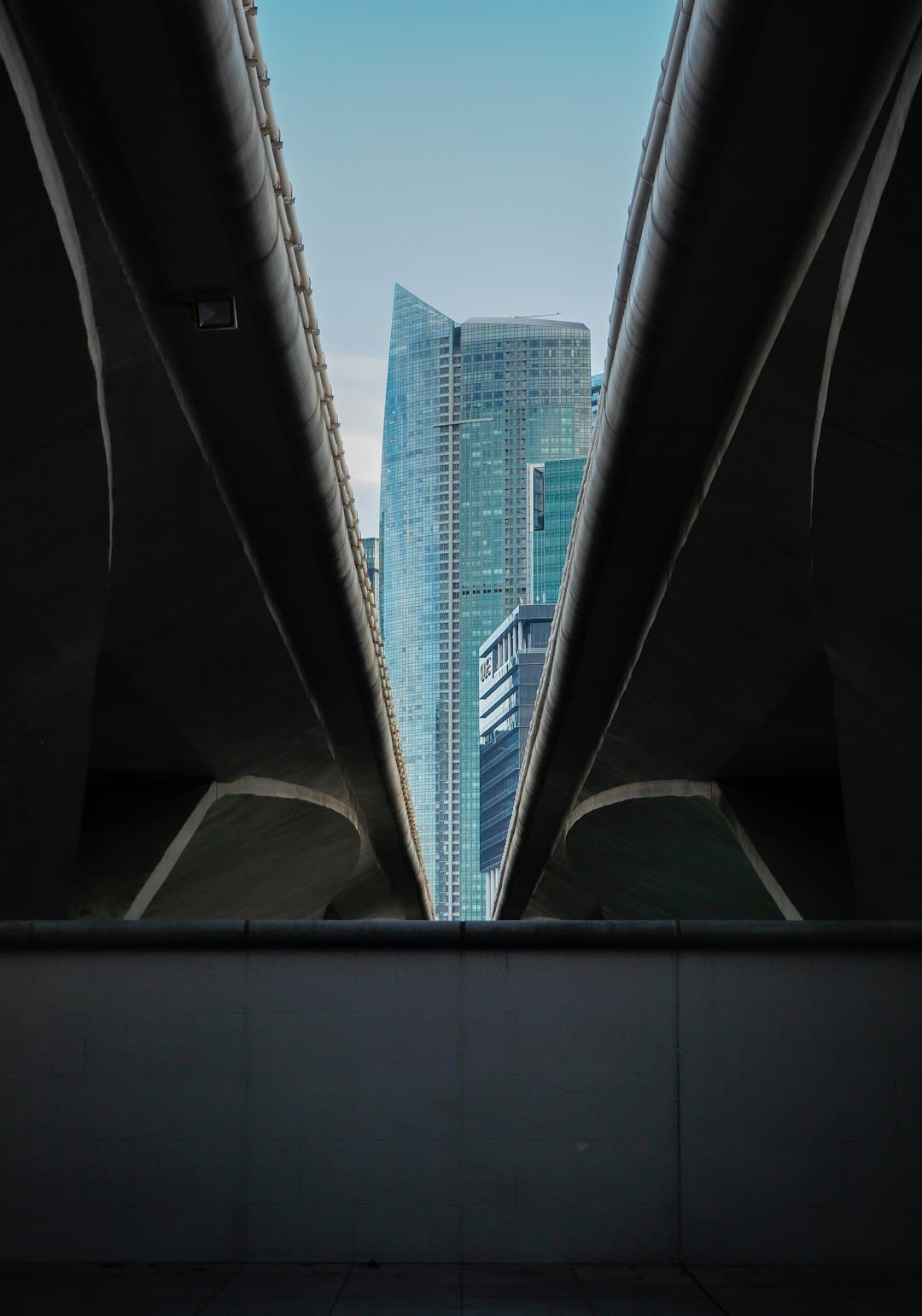2025精英童模超级联赛特邀主持人顾闻馨 荣获主题赛冠军