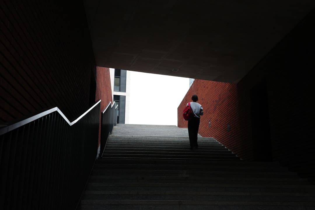 纬德信息2025年中报:电网范畴持续增长,完成跨行业扩张